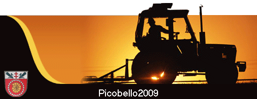 Picobello2009